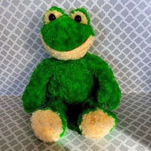 Build-A-Bear Collection Friendly Green Frog (Retired Animals Plush) Clean smile